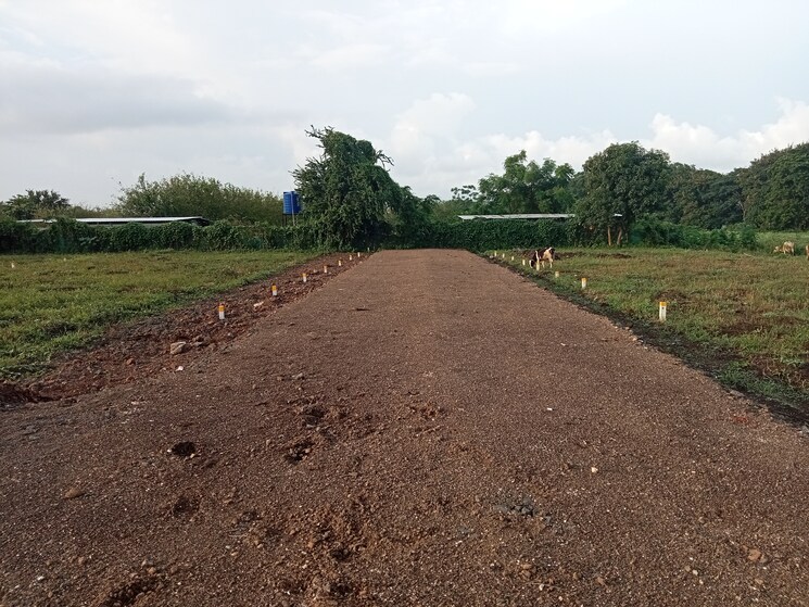 undefined, pathardi  70 Sq.Yd. Plot In Pathardi Nashik 8205028