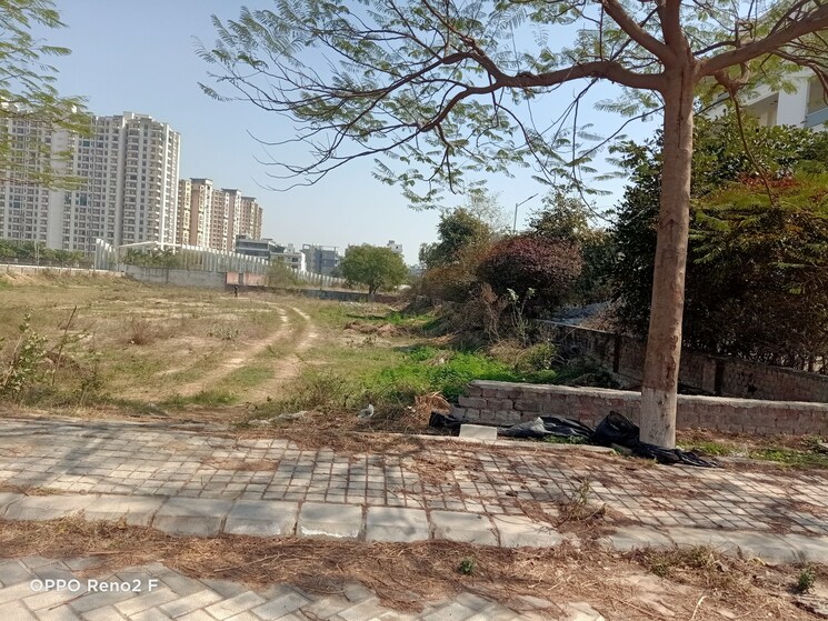 undefined, tdi-the-grand-retreat  250 Sq.Yd. Plot In Sector 88 Faridabad 8205256