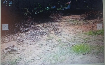 Plot For Sale in Sector 159