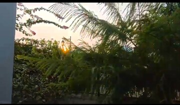 2.5 BHK Apartment For Rent in Central Park 3 Flower Valley, Sohna Sector 33