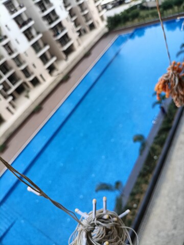 Swimming Pool in 3 BHK Apartment at Rishita Manhattan, Gomti Nagar – for Rent