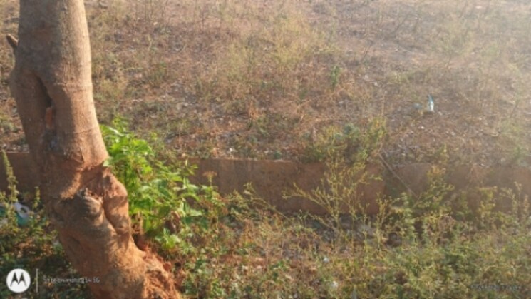 undefined, ullal  2400 Sq.Ft. Plot In Ullal Bangalore 8205976