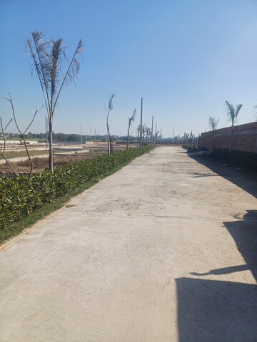  Plot For Sale in Jewar