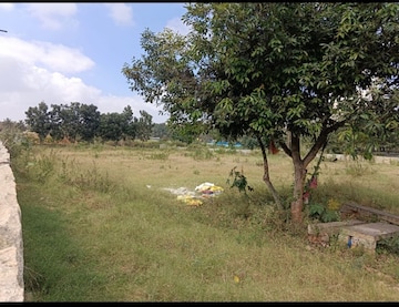 Commercial Land 25000 Sq.Ft. For Rent in Kothanur Bangalore  8206459