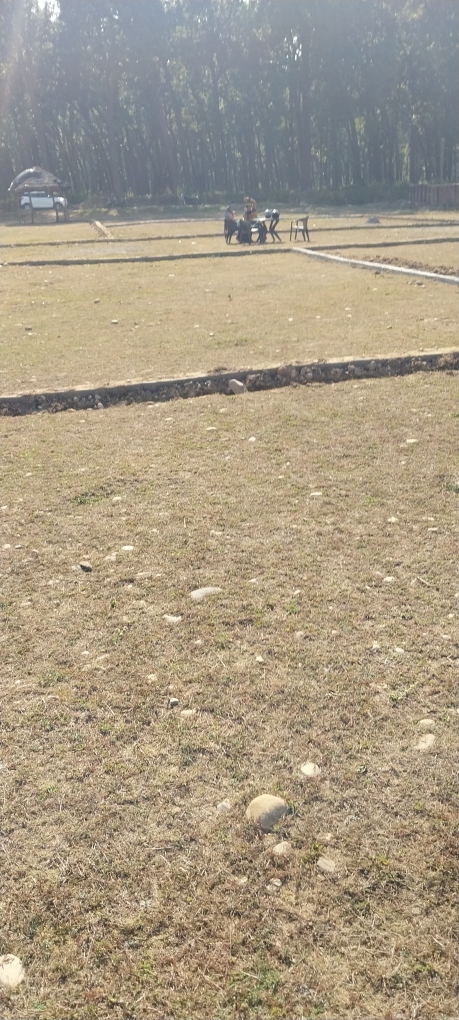 Plot For Sale in Shimla Bypass Road