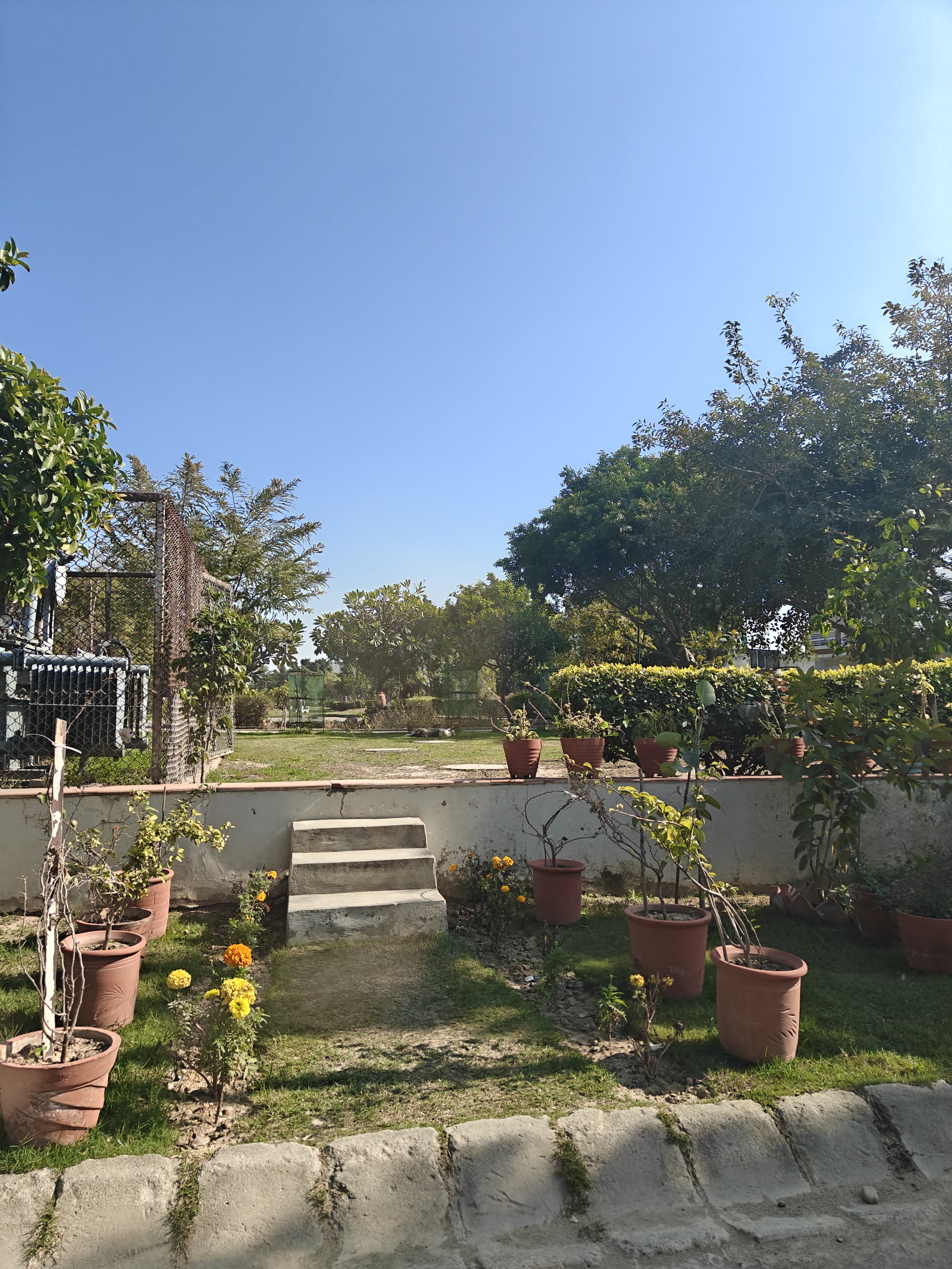 Plot For Sale in Mohali Hills Emaar 