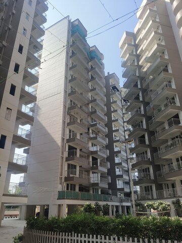 3 BHK Apartment For Rent in Ram Shanti Apartment Sector 52 Gurgaon  8206685