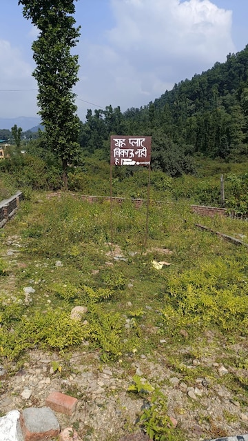 Plot For Resale in Shivaji Nagar Dehradun  8206809