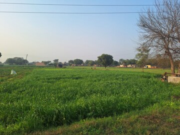 Plot Area in  Plot at Jewar – for Sale