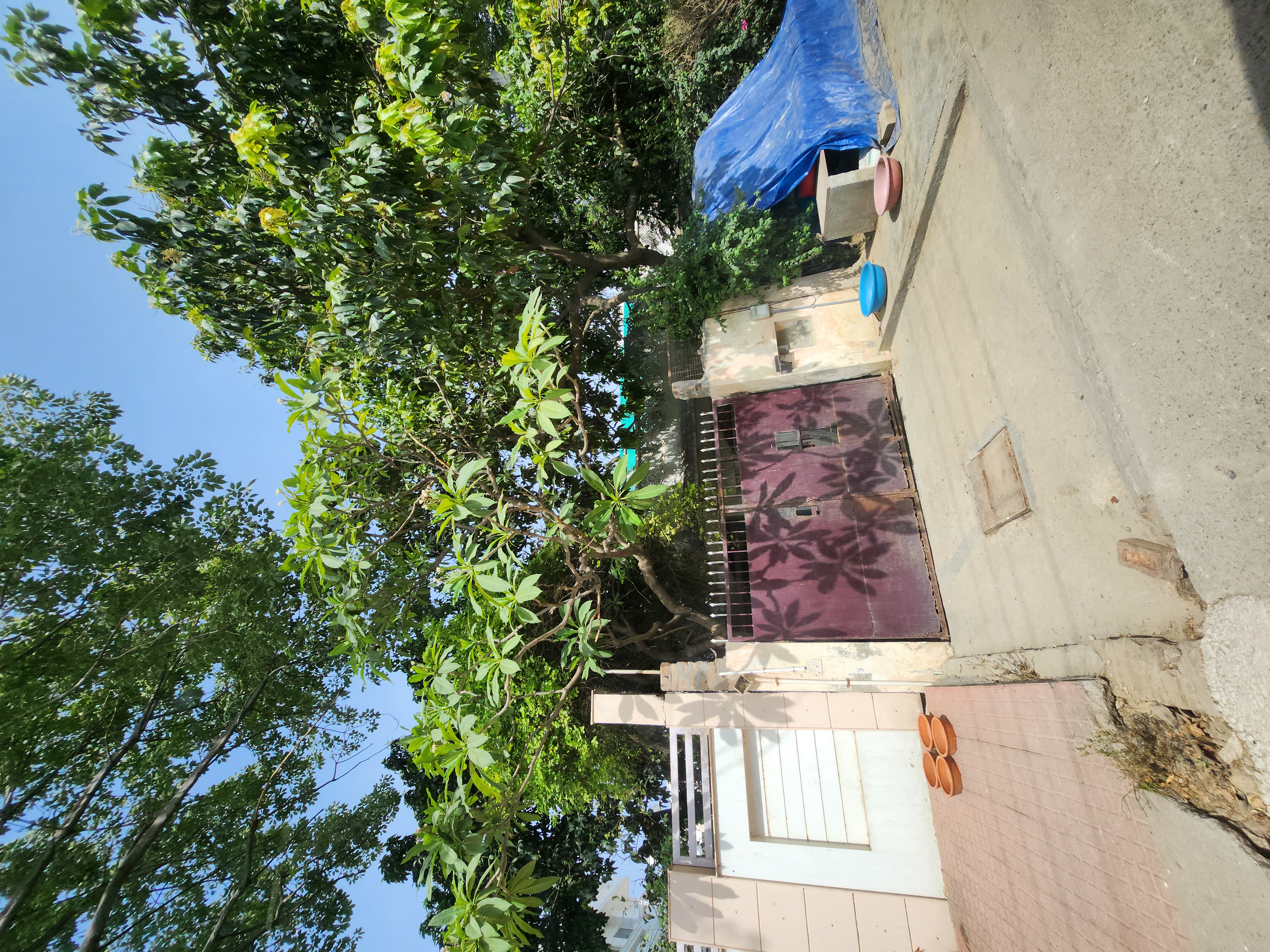 Plot For Sale in Sector 15A