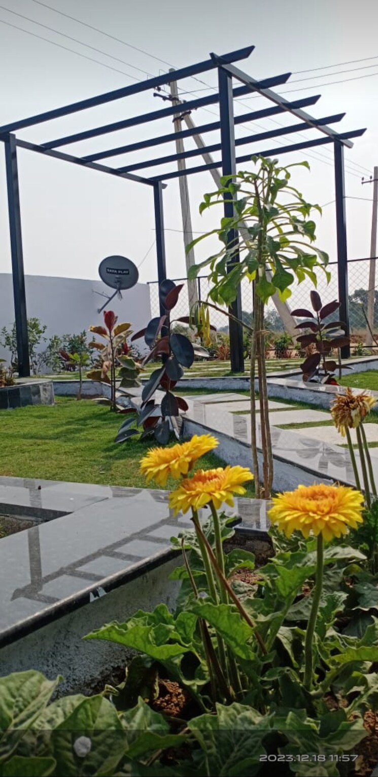 Garden, shadnagar  150 Sq.Yd. Plot In Shadnagar Hyderabad 8207119