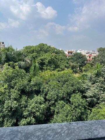 1 BHK Builder Floor – Garden View at Sector 39 - for Rent