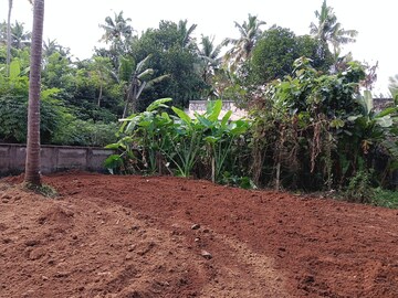 Plot For Resale in Chiyyaram Thrissur  8207445