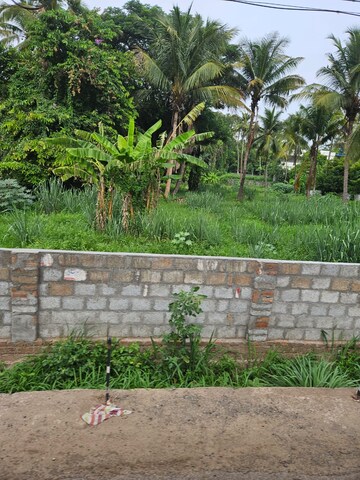  Plot For Sale in Kuttoor