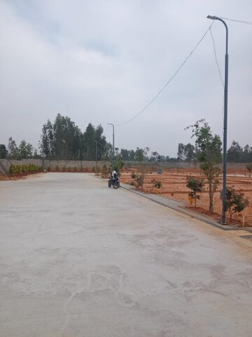 Plot For Resale in Chikka Tirupathi Bangalore  8207498