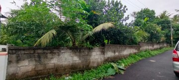 Plot For Resale in Mukkattukara Thrissur  8207551