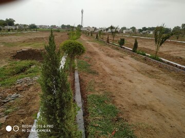 Plot Area in  Plot at Sector 150 – for Sale
