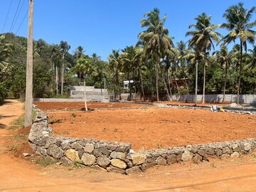 Plot For Resale in Muthuvara Thrissur  8207580