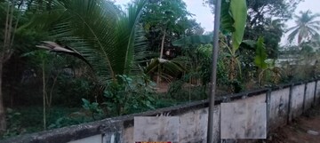 Plot Area in  Plot at Cheroor – for Sale
