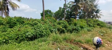 Plot Area in  Land at Nadathara – for Sale