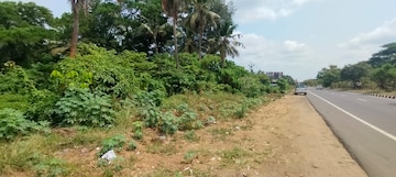 Commercial Land 58370 Sq.Ft. For Resale in Nadathara Thrissur  8207619