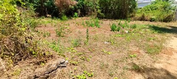 Plot Area in  Plot at Nadathara – for Sale