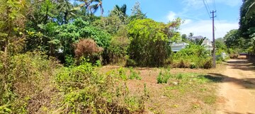 Plot Area in  Plot at Nadathara – for Sale