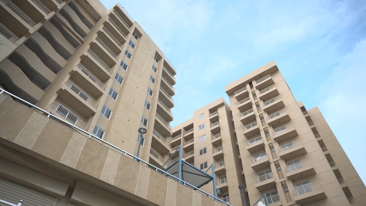 Exterior View, noida greater noida expressway Studio 531 Sq.Ft. Apartment In Noida Greater Noida Expressway Noida 8207847