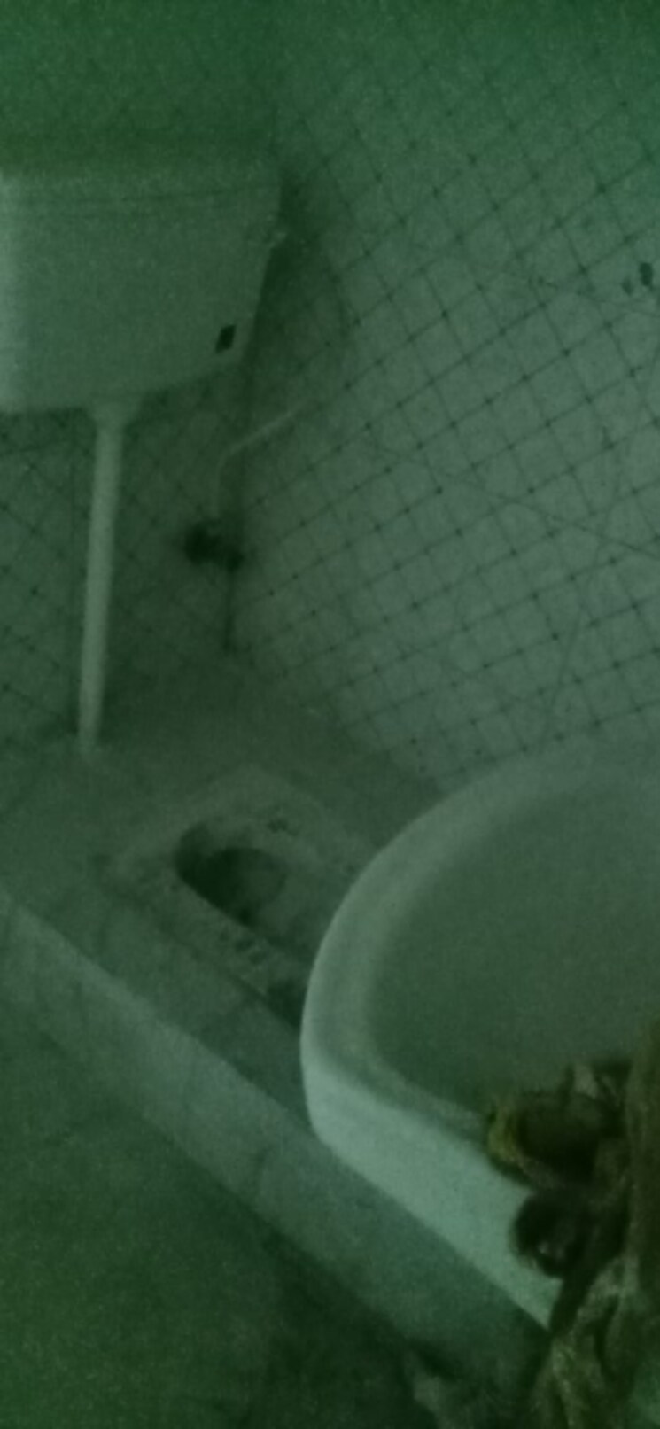 Bathroom, laxmi nagar 2 Bedroom 428 Sq.Ft. Builder Floor In Laxmi Nagar Delhi 8207849