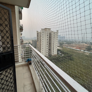 3 BHK Apartment For Rent in Tulip Orange Sector 70 Gurgaon  8207964