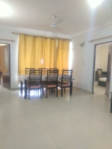 Living Room in 3 BHK Apartment at Vasant Kunj – for Rent