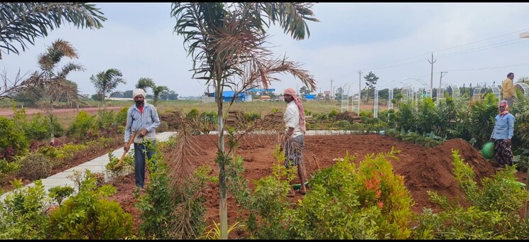 Garden, myron-royal-crest  210 Sq.Yd. Plot In Digwal Hyderabad 8208187