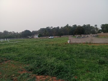 Plot For Resale in Bhogapuram Vizianagaram  8208544