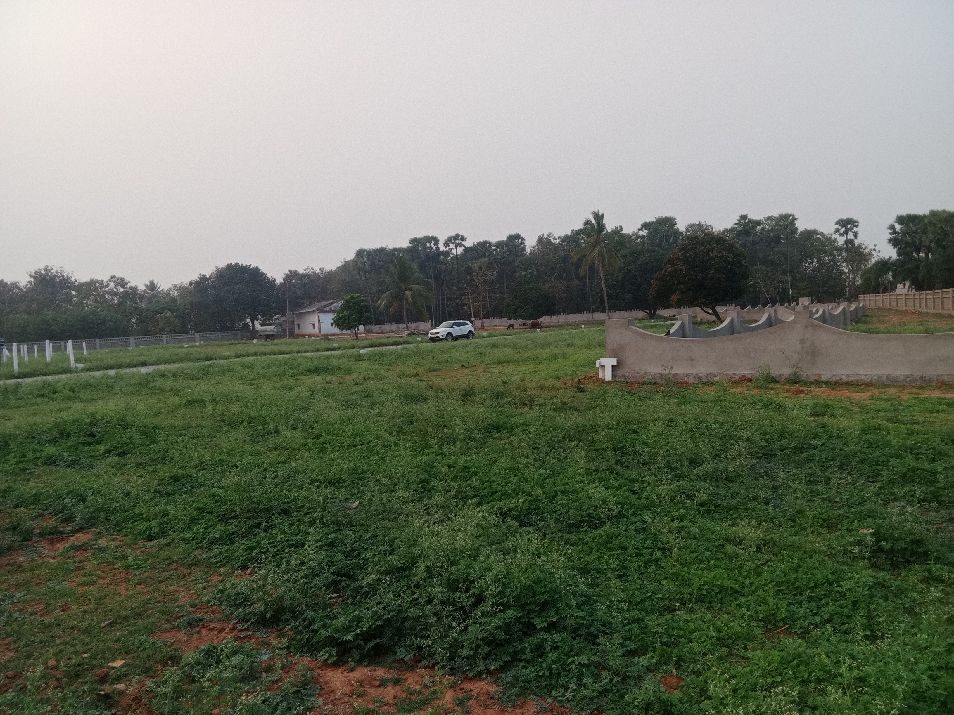 Plot For Sale in Bhogapuram Real Estates 