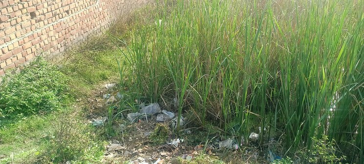 undefined, sector 115  100 Sq.Yd. Plot In Sector 115 Mohali 8209290