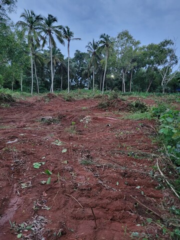 Plot Area in  Land at Vizhinjam – for Sale
