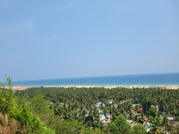 Plot Area in  Land at Vizhinjam – for Sale