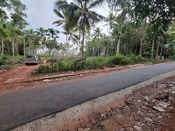 Commercial Land 4046 Sq.Mt. For Resale in Vizhinjam Thiruvananthapuram  8209296