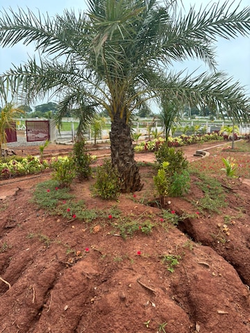 Plot Area in  Plot at Sri Bhumi Eeshaanya, Kankipadu – for Sale