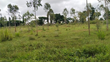 Commercial Land 2 Acre For Resale in Doddaballapura Road Bangalore  8209779