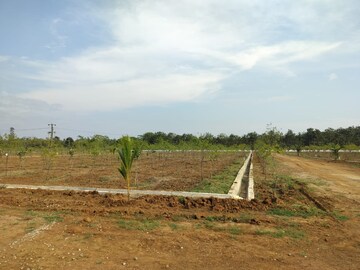  Plot For Sale in Vizianagaram Cantonment