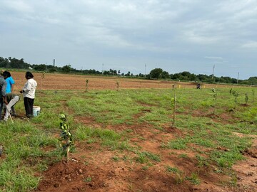 Plot Area in  Plot at Mangalagiri – for Sale
