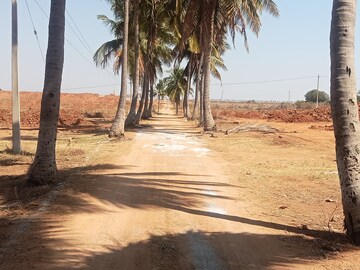 Plot Area in  Plot at Maheshwaram – for Sale