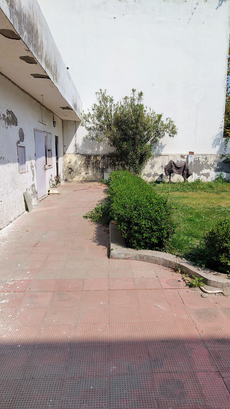 Exterior View, rwa-apartments-sector-52 2.5 Bedroom 4500 Sq.Ft. Villa In Sector 52 Noida 8210472