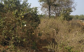 Plot For Sale in Maheshwaram