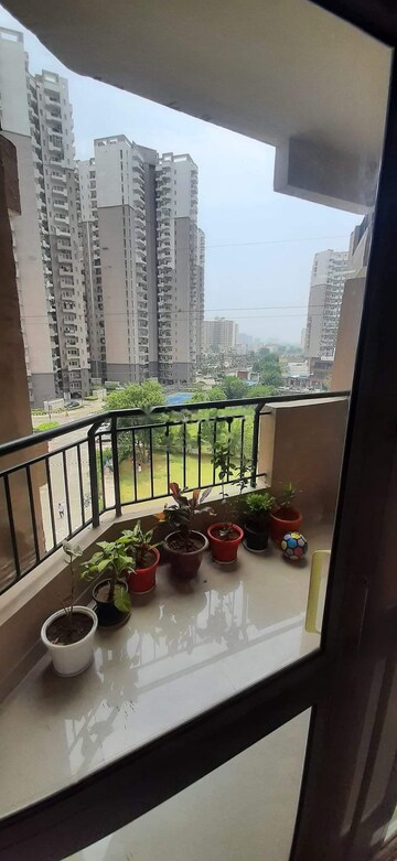 2.5 BHK Apartment For Rent in AWHO Shanti Vihar, Sector 95