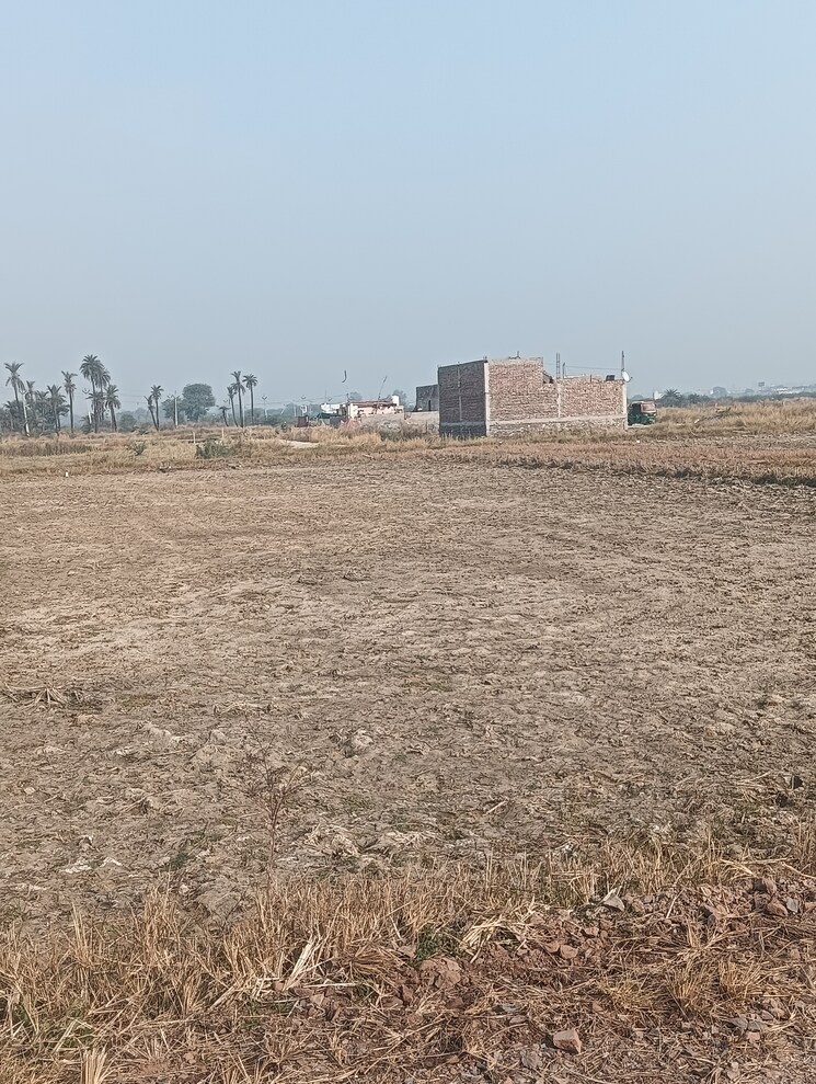 undefined, silani chowk  115 Sq.Yd. Plot In Silani Chowk Gurgaon 8211152