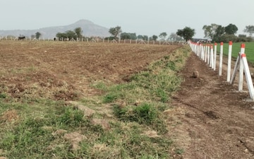 Land For Sale in Rau
