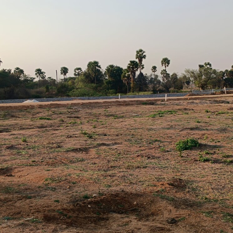 undefined, maheshwaram  167 Sq.Yd. Plot In Maheshwaram Hyderabad 8211278