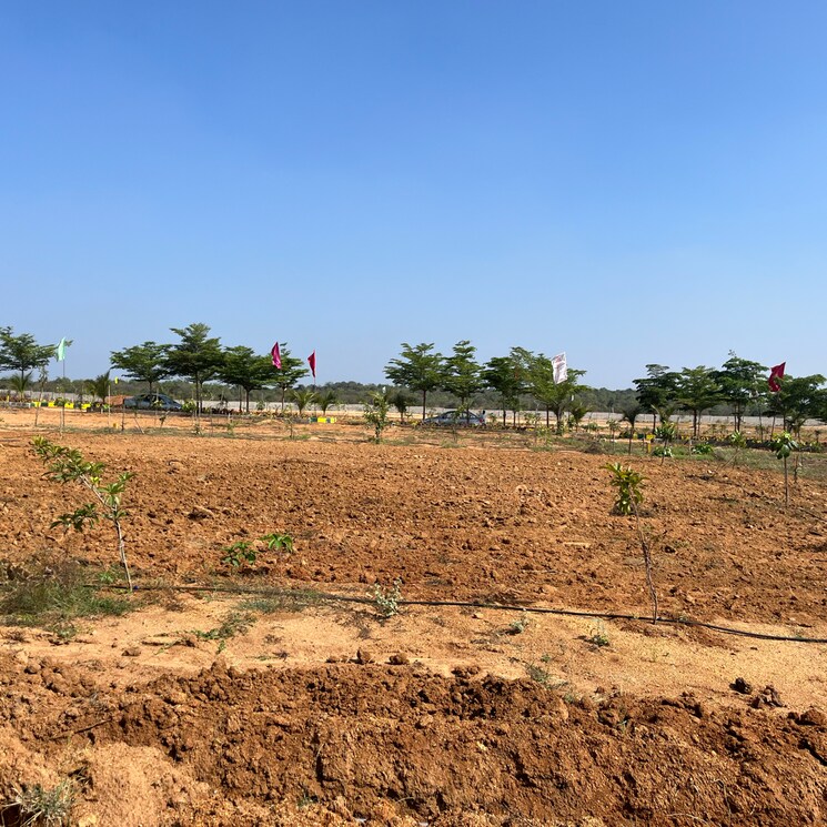 undefined, maheshwaram  200 Sq.Yd. Plot In Maheshwaram Hyderabad 8211308